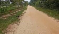 Oplus_131072