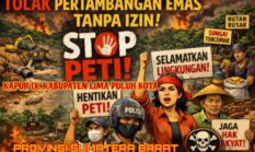 Praktik Upeti Tambang Emas Ilegal Mencuat di Kapur IX Kembali Disebut, Dugaan Beking Aparat dan Pasokan BBM Ilegal Menguat
